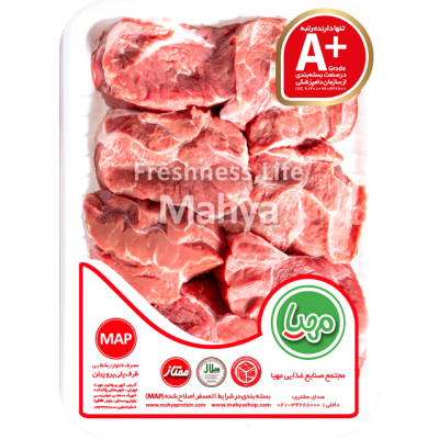 سویشرت طرح زرین بال