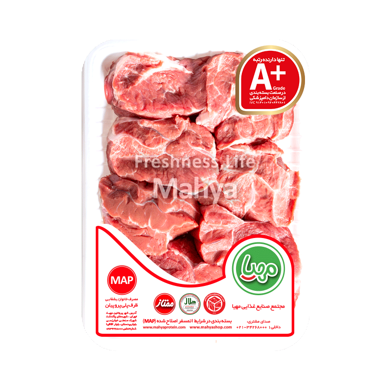 سویشرت طرح زرین بال