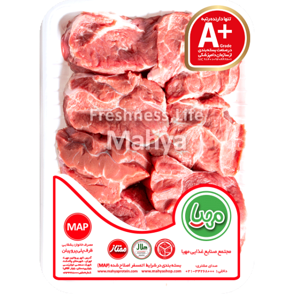 سویشرت طرح زرین بال