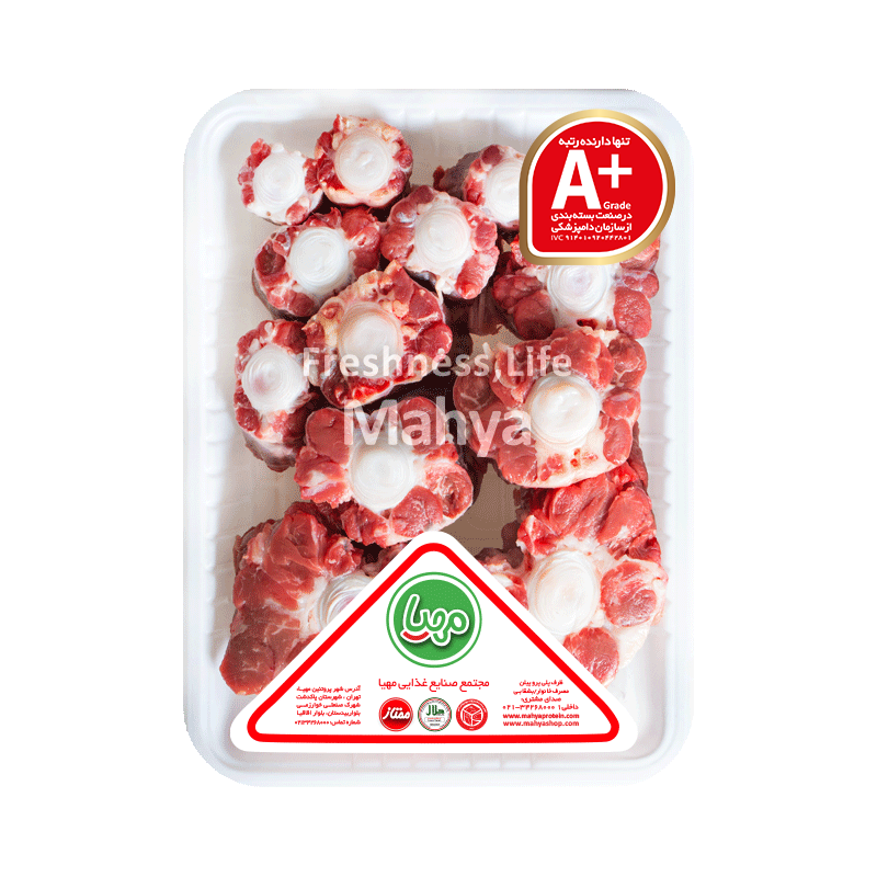 ماگ آغاز ماجراجویی