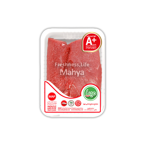 گرافیک وکتور - خرس قهوه ای