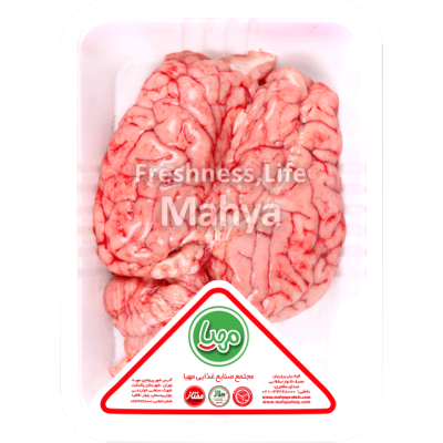 گرافیک وکتور - زرین بال