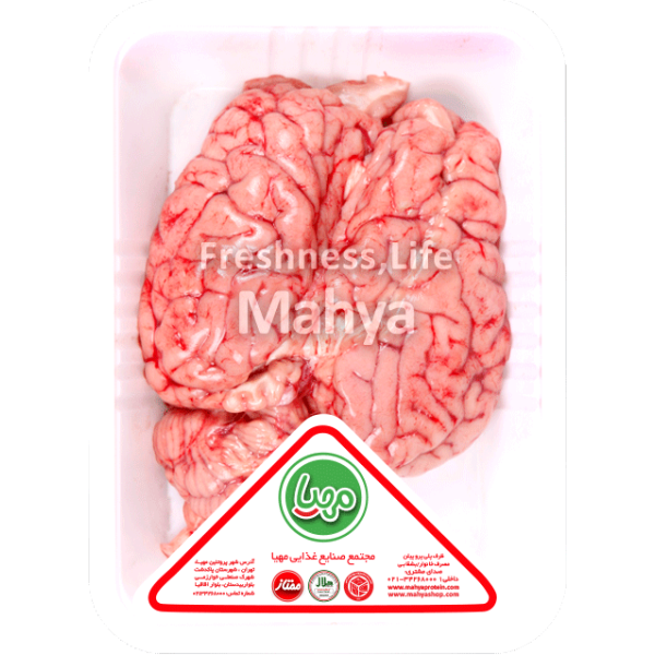 گرافیک وکتور - زرین بال