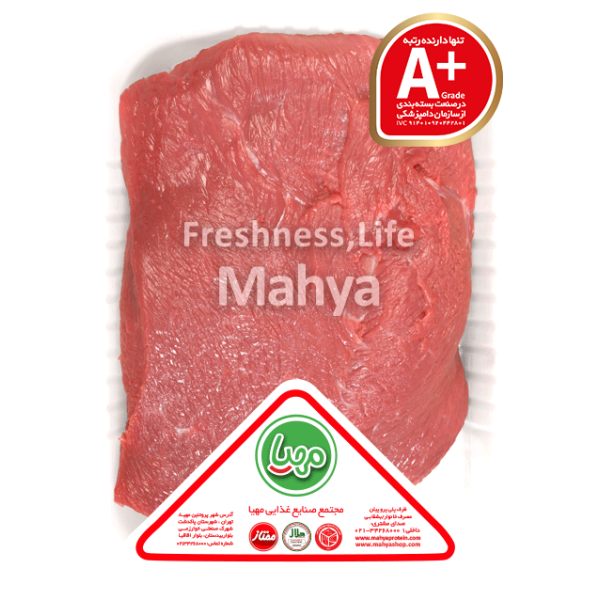 دفترچه یادداشت زرین بال