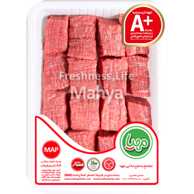 ماگ آغاز ماجراجویی