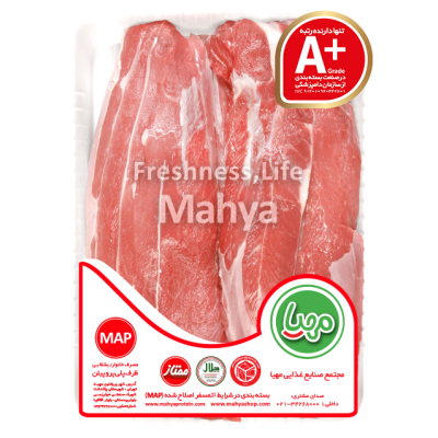 ماگ آغاز ماجراجویی