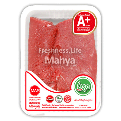 دفترچه یادداشت روباه کوهستانی