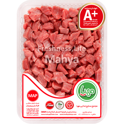 دفترچه یادداشت زرین بال